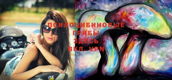герыч Алзамай