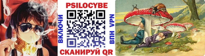 Псилоцибиновые грибы прущие грибы Новая Ладога