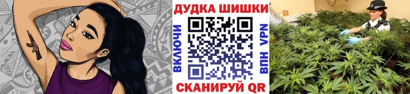 как найти   Новая Ладога  Каннабис MAZAR 